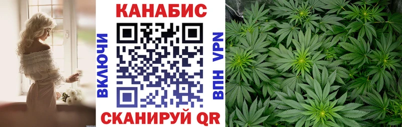 Конопля OG Kush  Купить  Фрязино 
